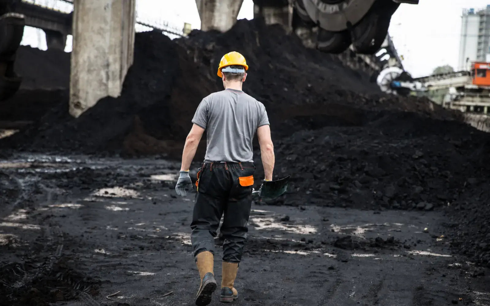 Industrial worker wearing Wild Forest safety footwear