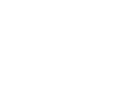 Wild Forest